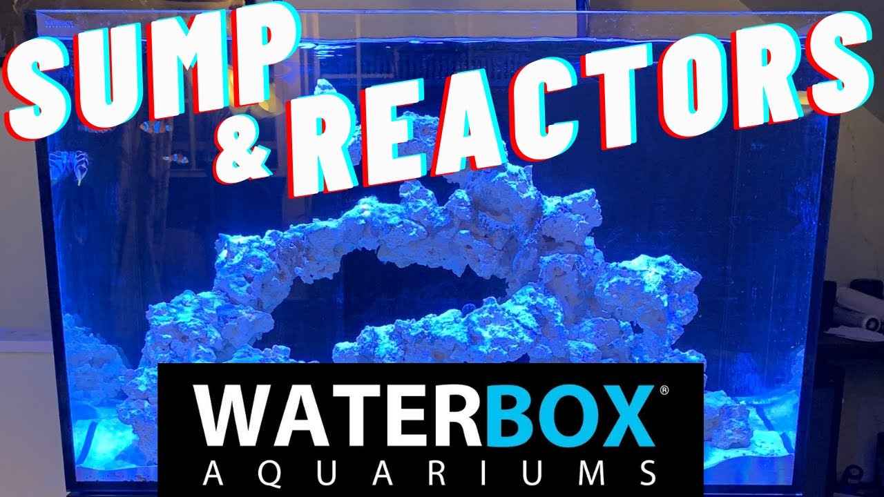 WATERBOX Sump Overhaul! Setting up a Reactor!!