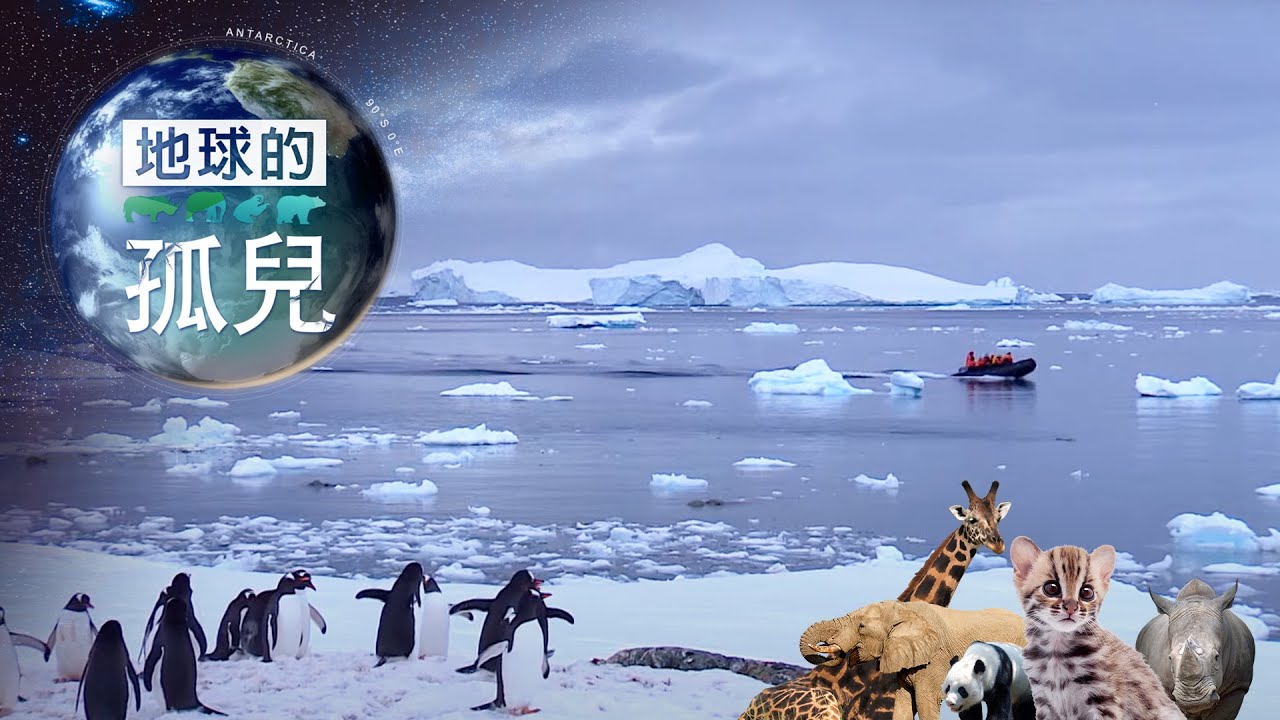 地球的孤兒 ~南極(下)南極全紀錄 Orphans of the Earth／Exploring Antarctica 【全集】｜白心儀