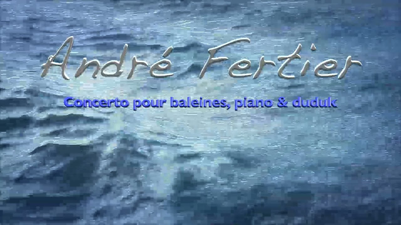 Concerto pour baleines , piano et duduk.