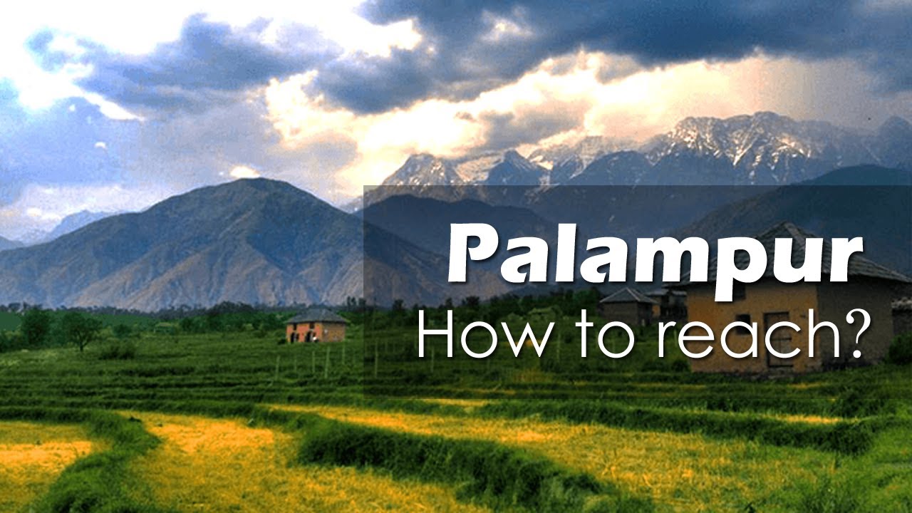 Palampur | Himachal Pradesh | How to Reach?