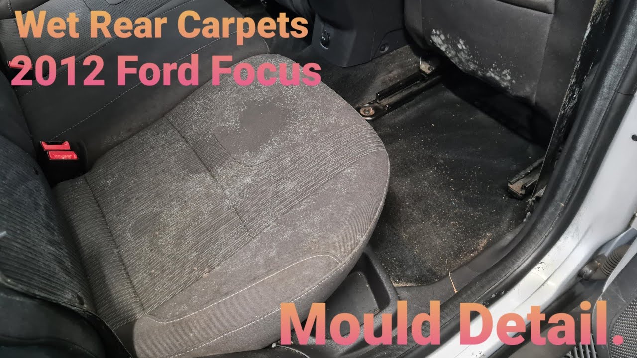 How To Fix Ford Focus wet Carpet.( water Leaking Inside )+( Disaster Mould Detail )