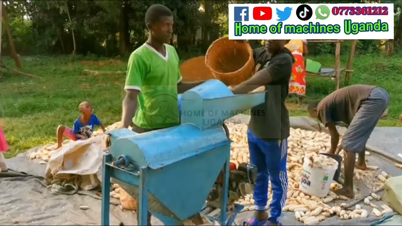 best maize shelling machine