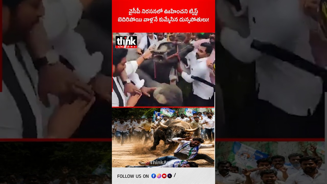 వైసీపీ నిరసనలో ఊహించని ట్విస్ట్ | బెదిరిపోయి వాళ్లనే కుమ్మేసిన దున్నపోతులు! #FunnyVideo #YSRCP