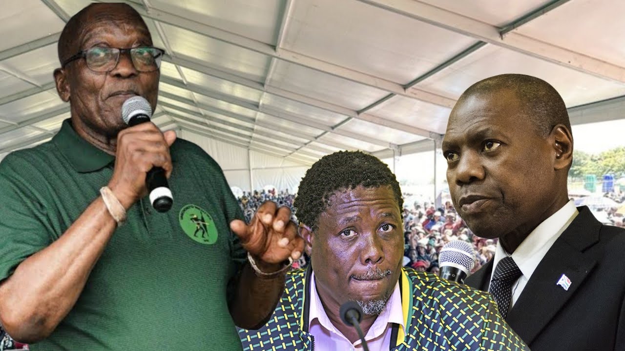 Zweli Mkhize on MK Party :