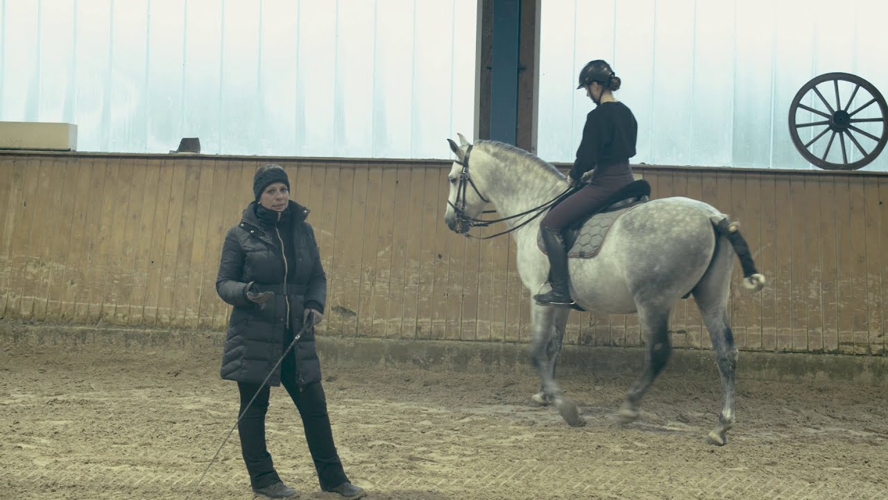 Piaffe erlernen- Conny Siemes- Klassische Reitkunst