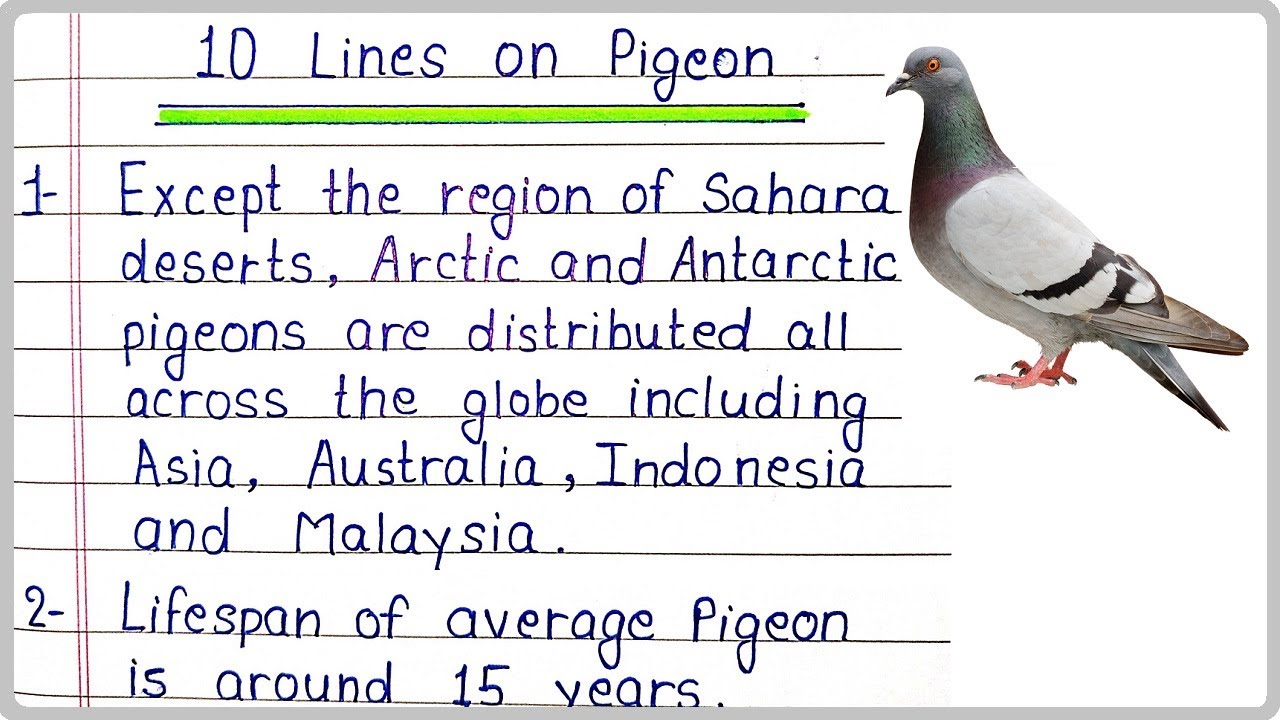 10 Lines Essay on Pigeon in English | Pigeon 10 Points | Few Lines and Sentences on Pigeon
