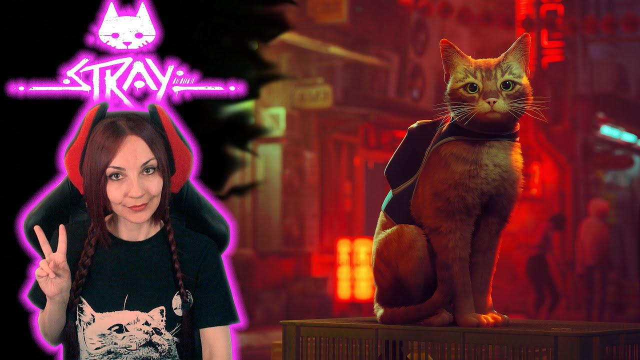 STRAY (PC) прохождение на русском | Стрей (Бродячий) ОБЗОР | СТРИМ #1