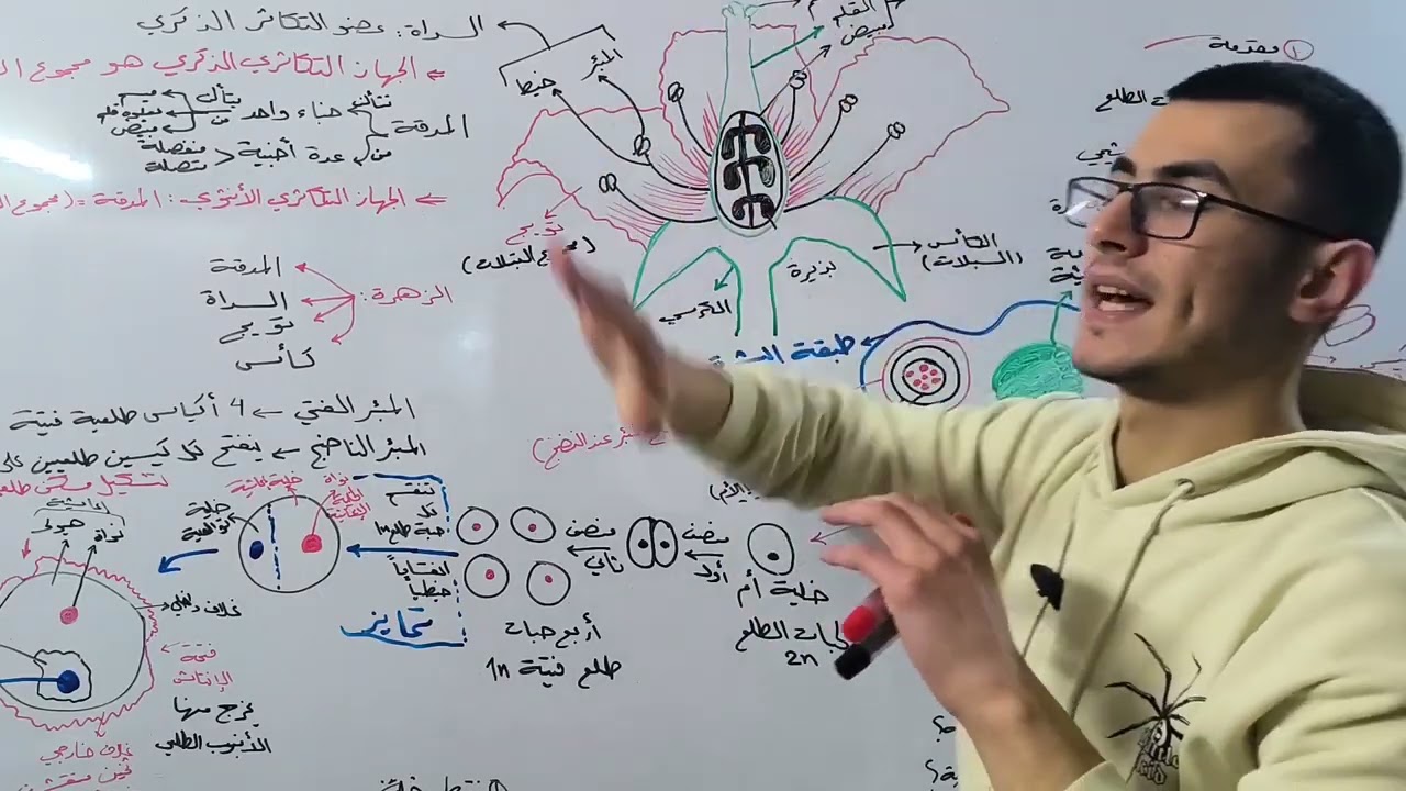مغلفات البذور | المقدمة وتشكل حبات الطلع |