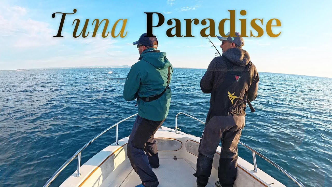 Tuna paradise