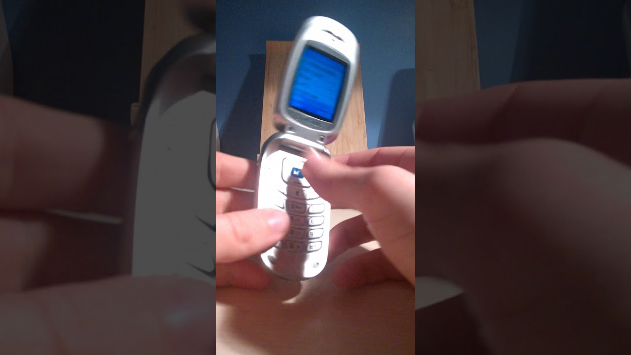Samsung X450 ringtones