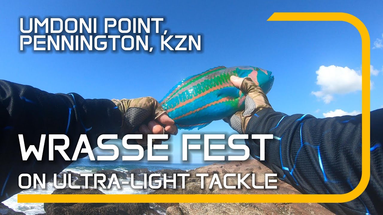 Umdoni Point   Wrasse Fest ON ULTRA LIGHT TACKLE in 4K 