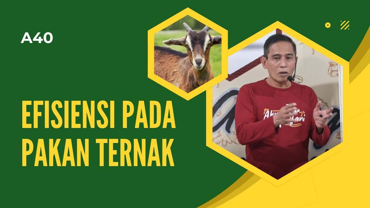 Efisiensi Pada Pakan Ternak