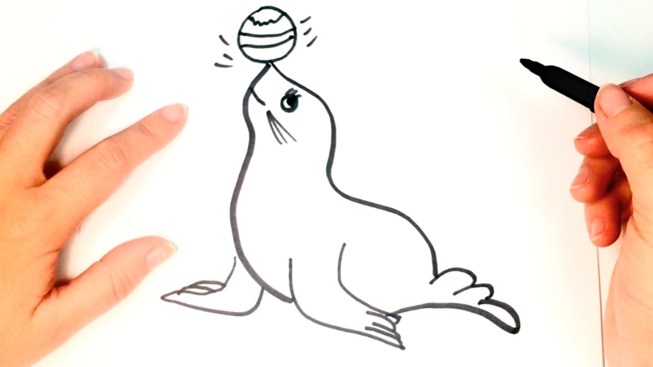 C&oacute;mo dibujar una Foca paso a paso | Dibujo f&aacute;cil de Foca
