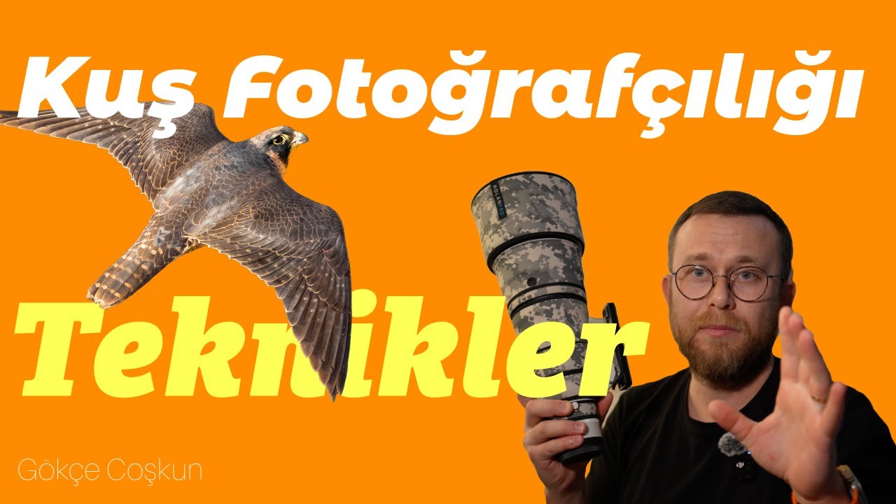 Kuş Fotoğrafçılığı Teknikler