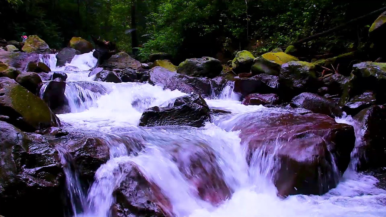 Quiet Night River Sounds | Deep Sleep Relaxing Water for Anxiety Calm