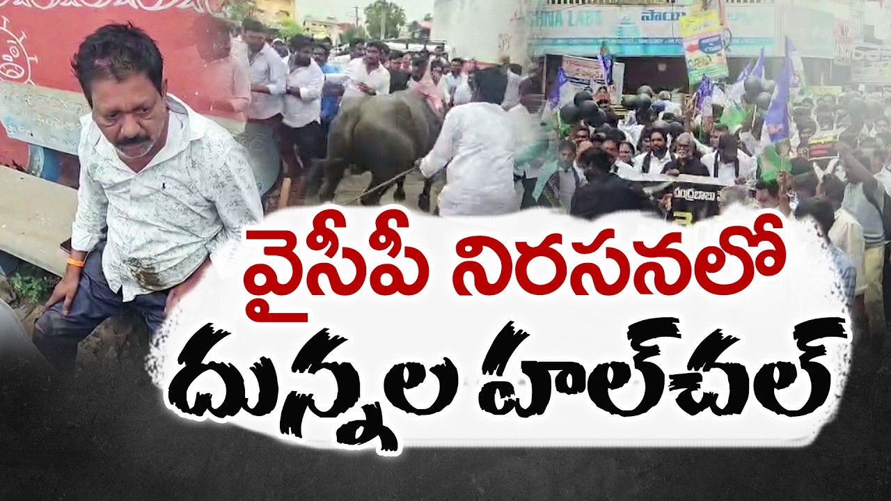 వైసీపీ నిరసనలో అపశృతి | కార్యకర్తలపైకి దూసుకెళ్లిన దున్నలు