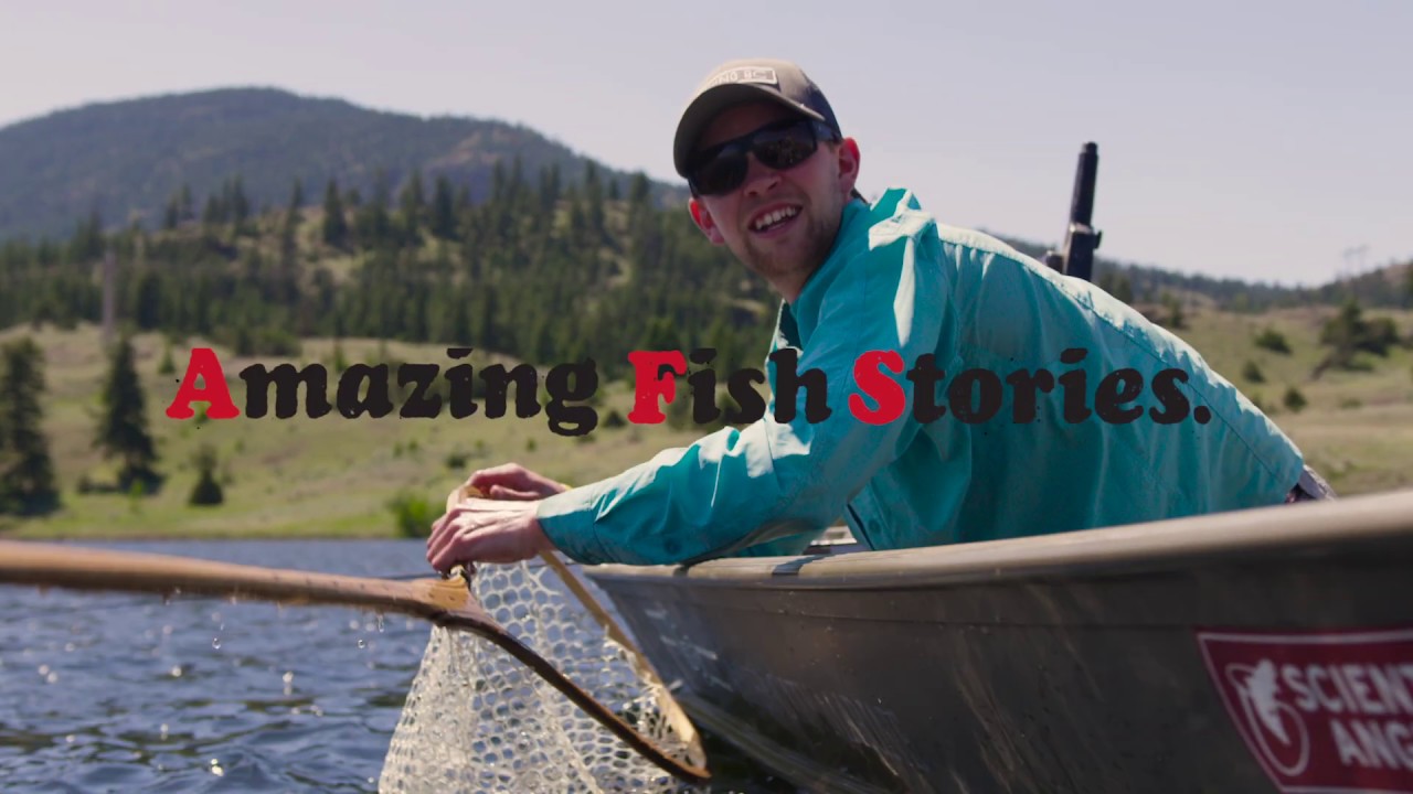 Amazing Fish Stories