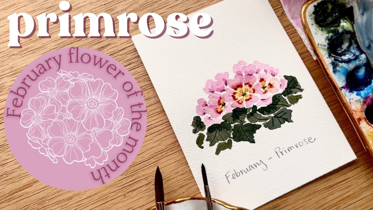 Watercolor primrose - February birth month flower