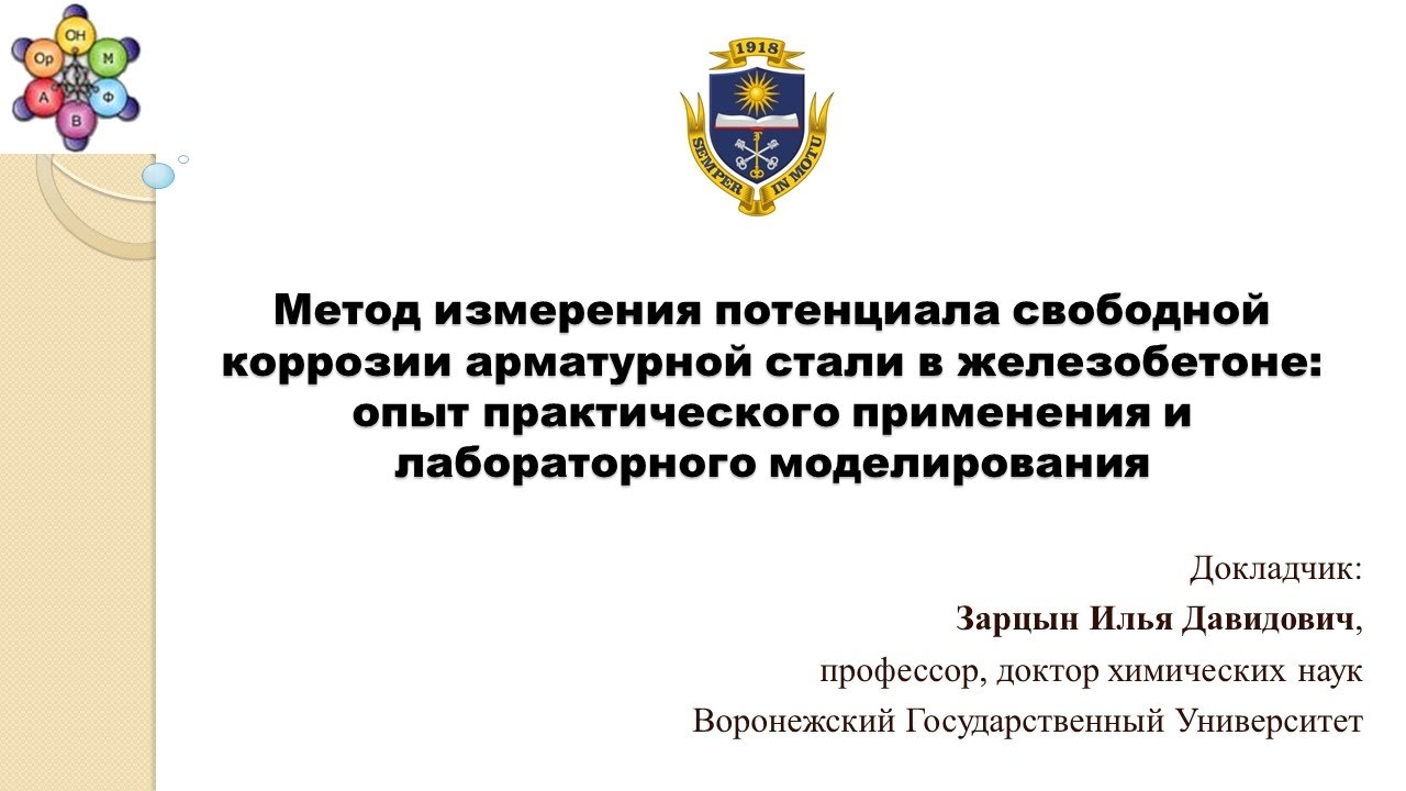 Зарцын Илья Давидович