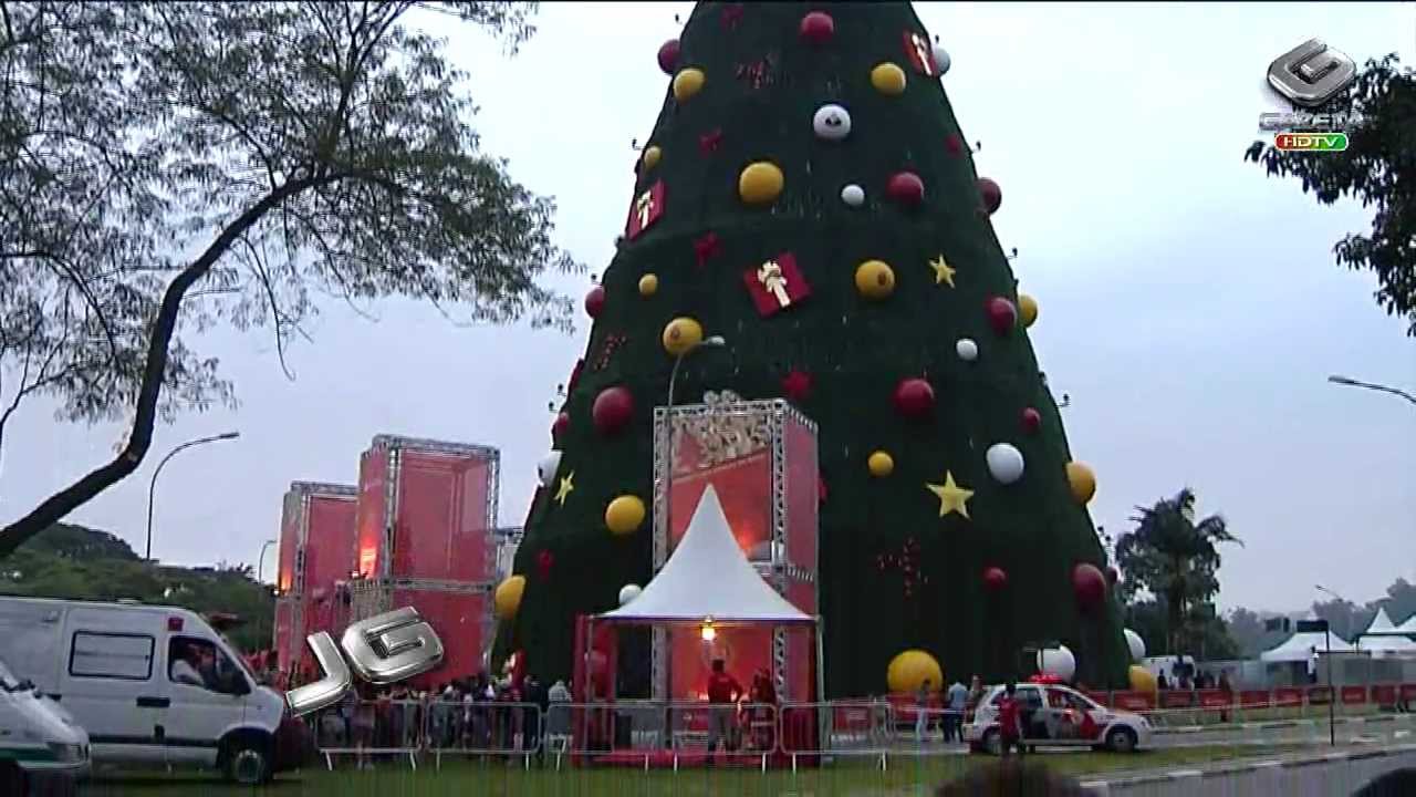 Árvore de Natal no Ibirapuera atrai multidão