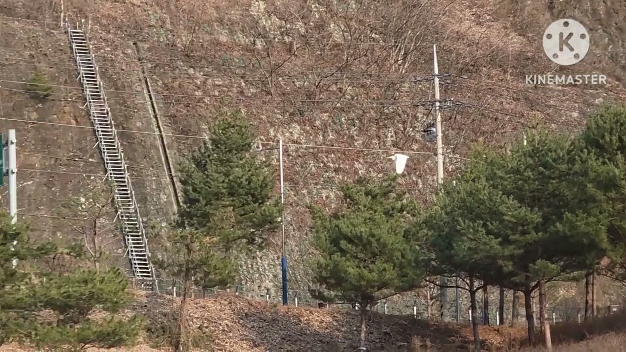 괴산읍에서/In Goesan-eup #개울풍경creek scenery