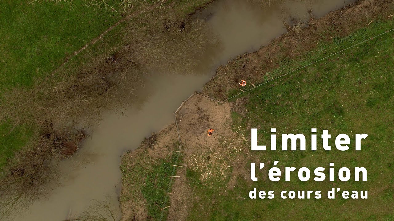 🌱 Protégeons la Lys ensemble! 🐄