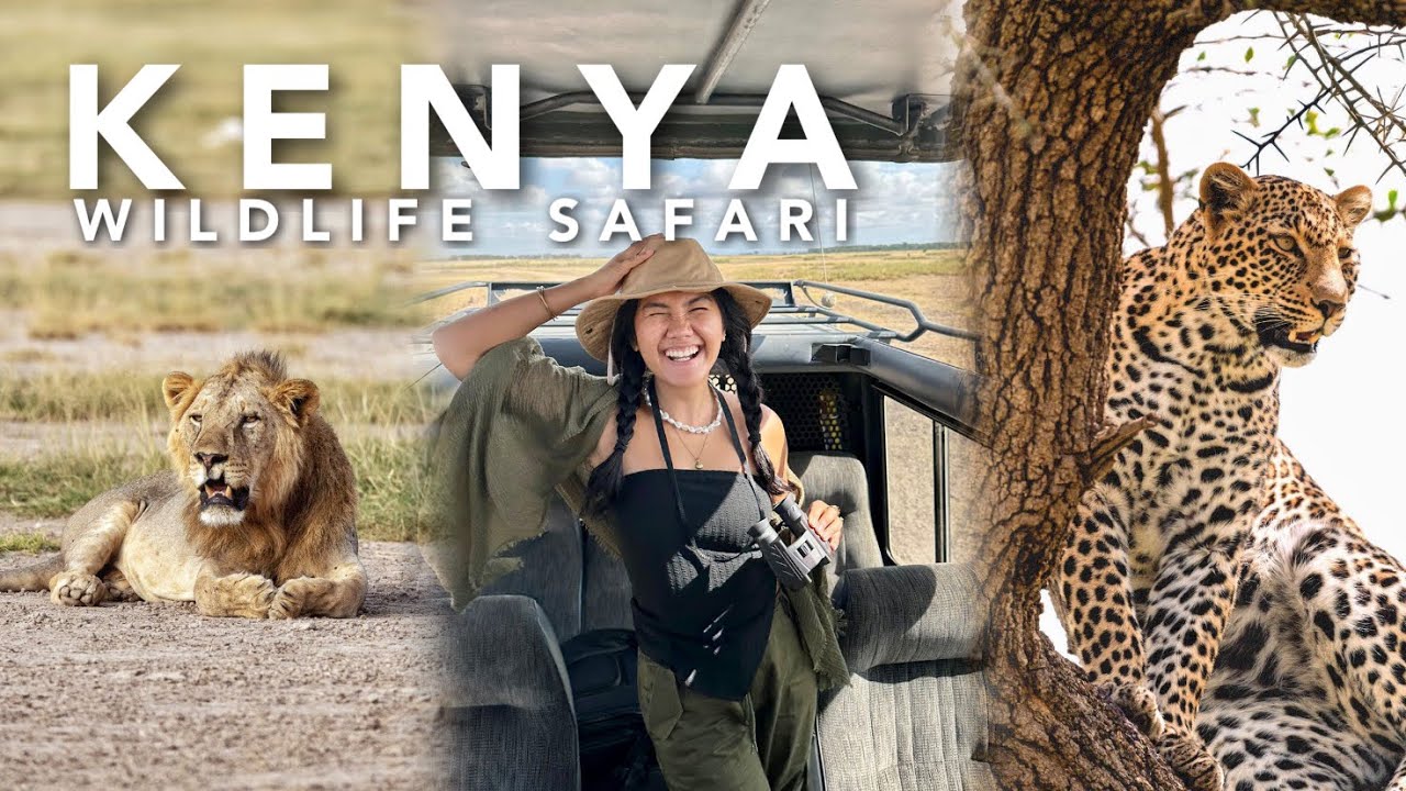 ДИКАЯ САФАРИ В КЕНИИ, АФРИКЕ (Масаи Мара) 🇰🇪