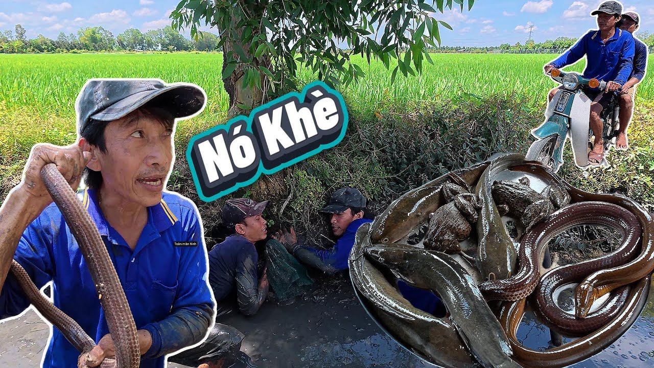 Ngo&agrave;i đồng đi đ&uacute;ng điểm 