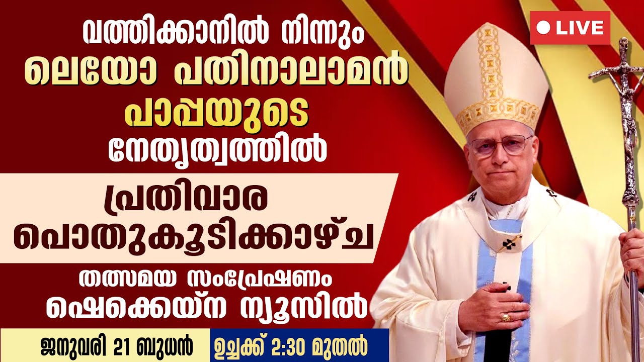 വത്തിക്കാനിൽ നിന്നും ലെയോ പതിനാലാമന്‍ പാപ്പയുടെ പൊതുകൂടിക്കാഴ്ച | POPE LEO XIV | GENERAL AUDIENCE