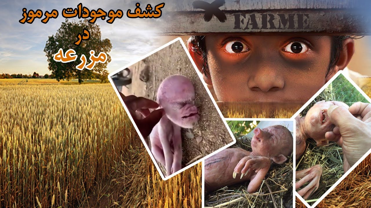 کشف موجودات عجیب و باورنکردنی که ممکنه از دیدنشون شوکه شوید.