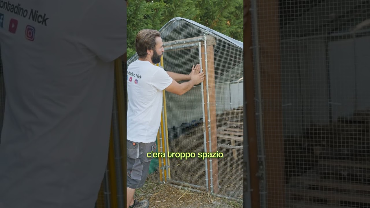Le nuove strutture dei POLLAI! #gallo #galline #campagna