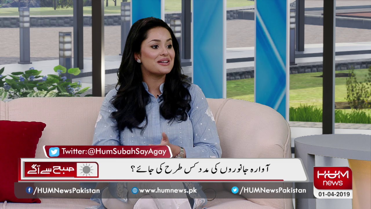Ayesha Chundrigar is working for stray animals and their protection