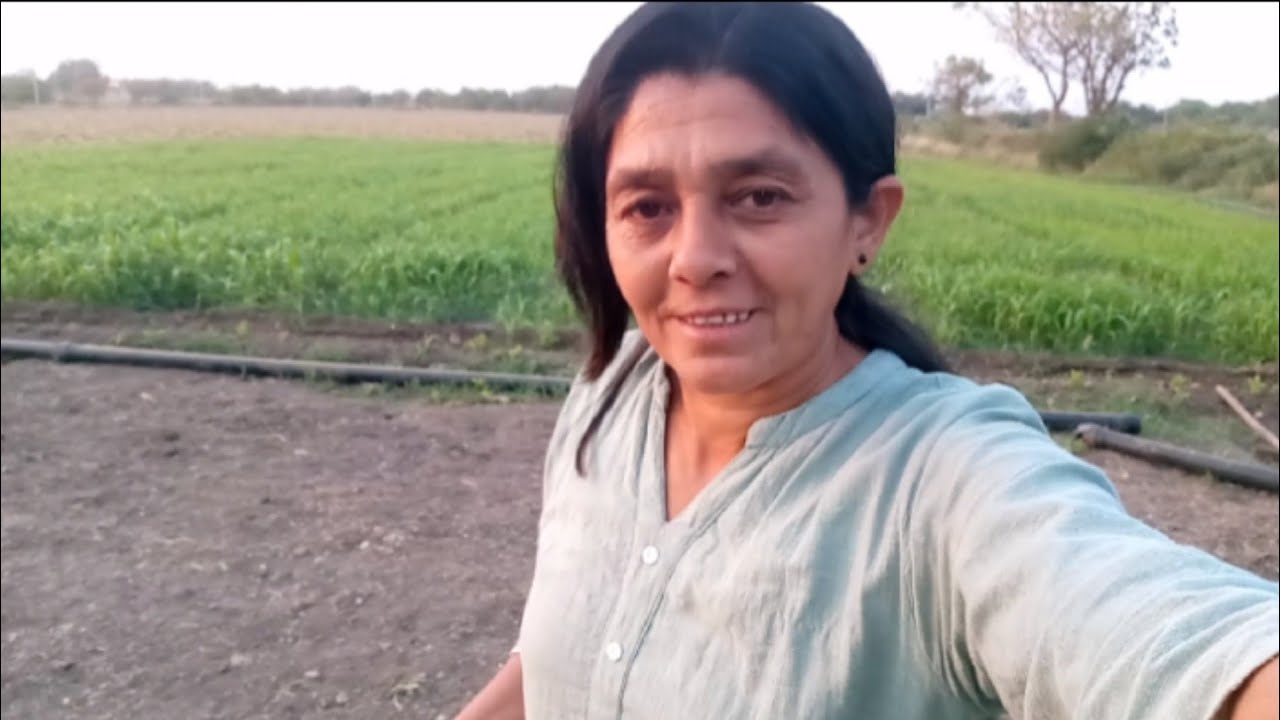 Khet ma kam kiya aur chaniya bor khaya ll hindi village life.