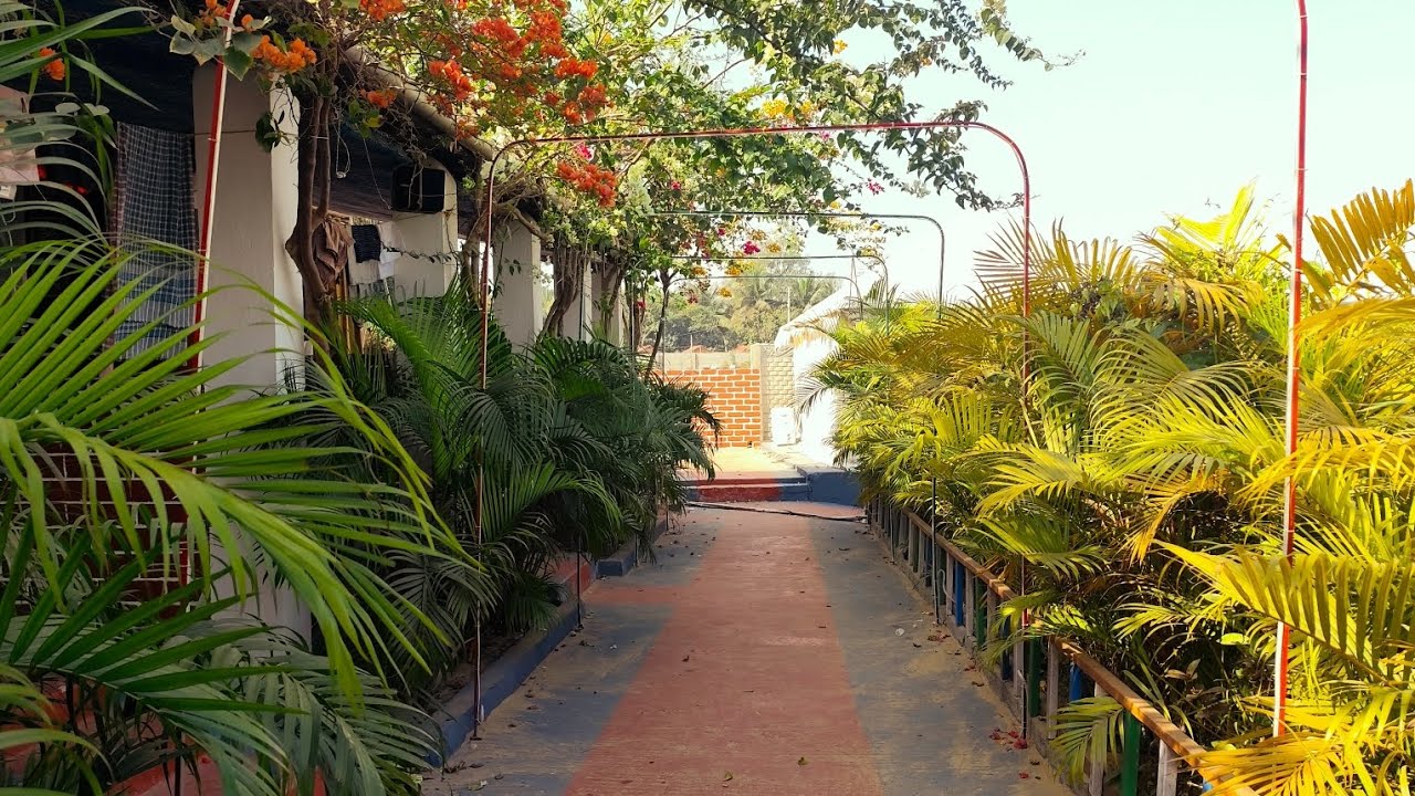 GALAXY NATURE CAMP || DHUBLAGADI || BALASORE || ODISHA || 