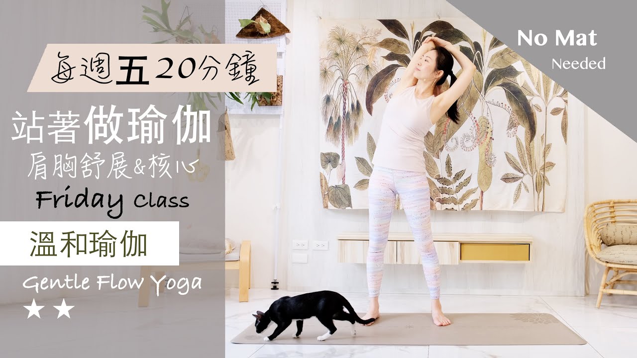 肩胸舒展 | 核心【站著做瑜伽系列/每週五】溫和瑜伽 Gentle Flow Yoga ★ ★ #4k畫質 #流動瑜珈 #字幕 #伸展 #平衡 #健康 #肌力 #核心訓練