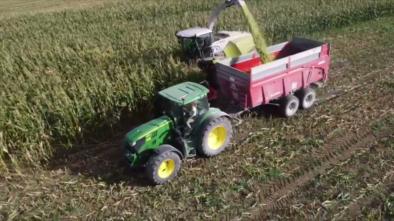 ENSILAGE AU GAEC BRUNNER DES CARRONS POUR ETA CURIE