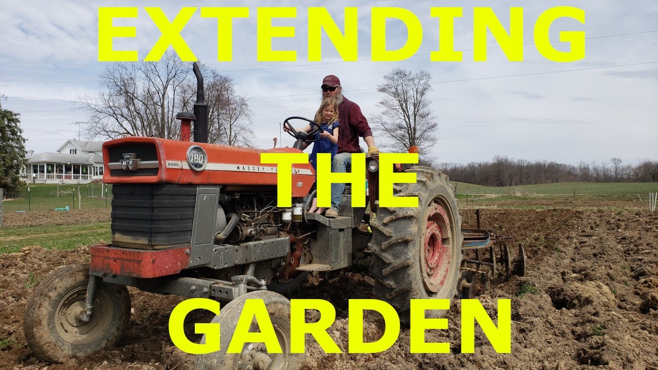 Extending Our Garden With Massey Ferguson 180, 2 Bottom Plow, and Disc