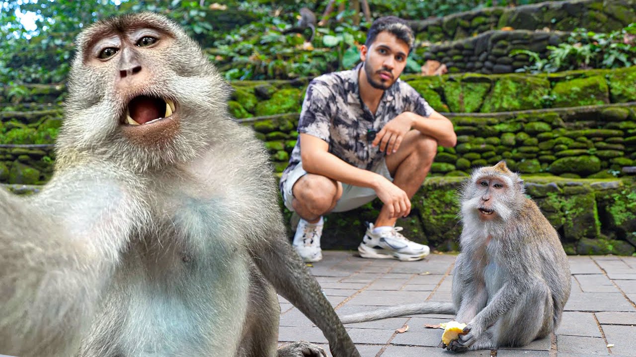 Así es un día NORMAL en BALI | Indonesia 🇮🇩