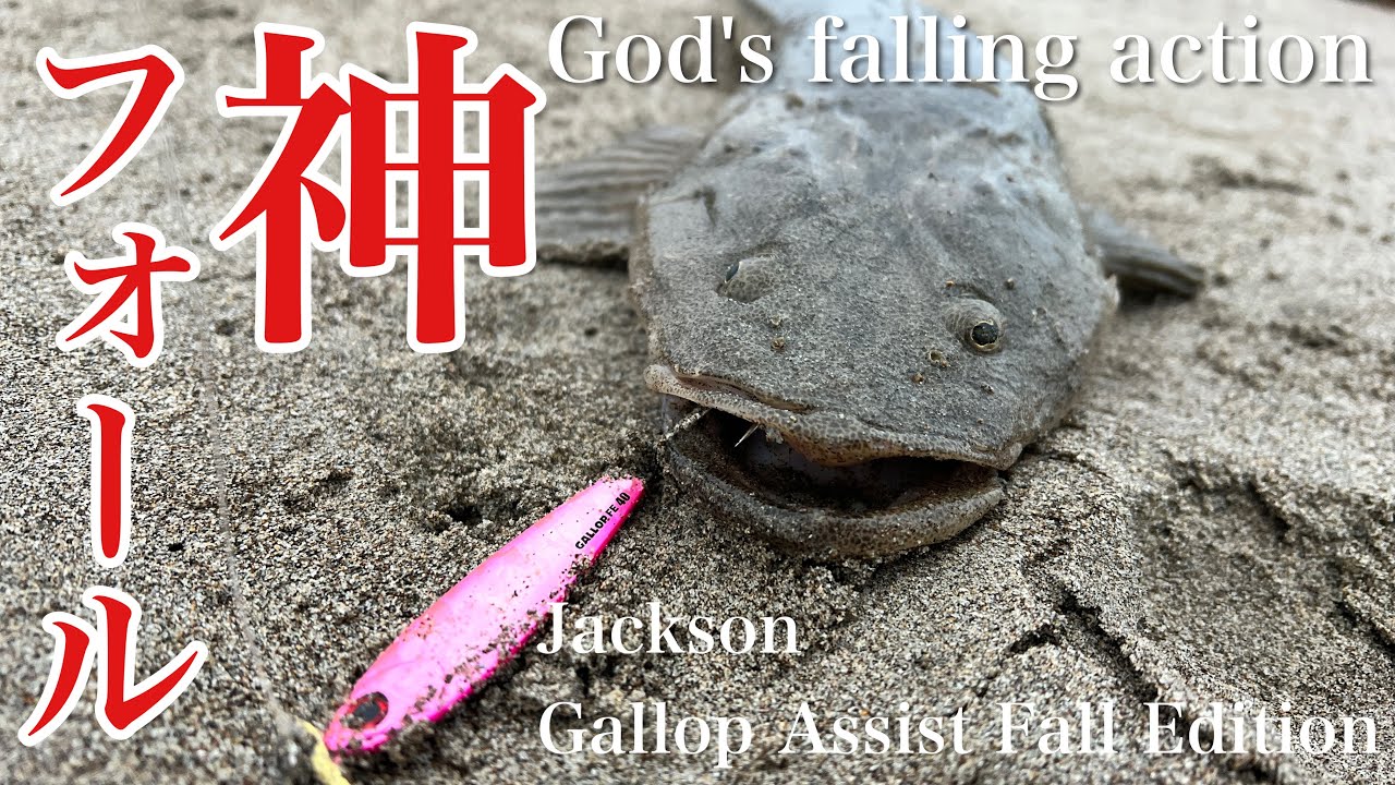 【サーフ】そのルアーのアクションに魚も思わず食いつく。〜Jackson ギャロップアシストフォールエディション〜