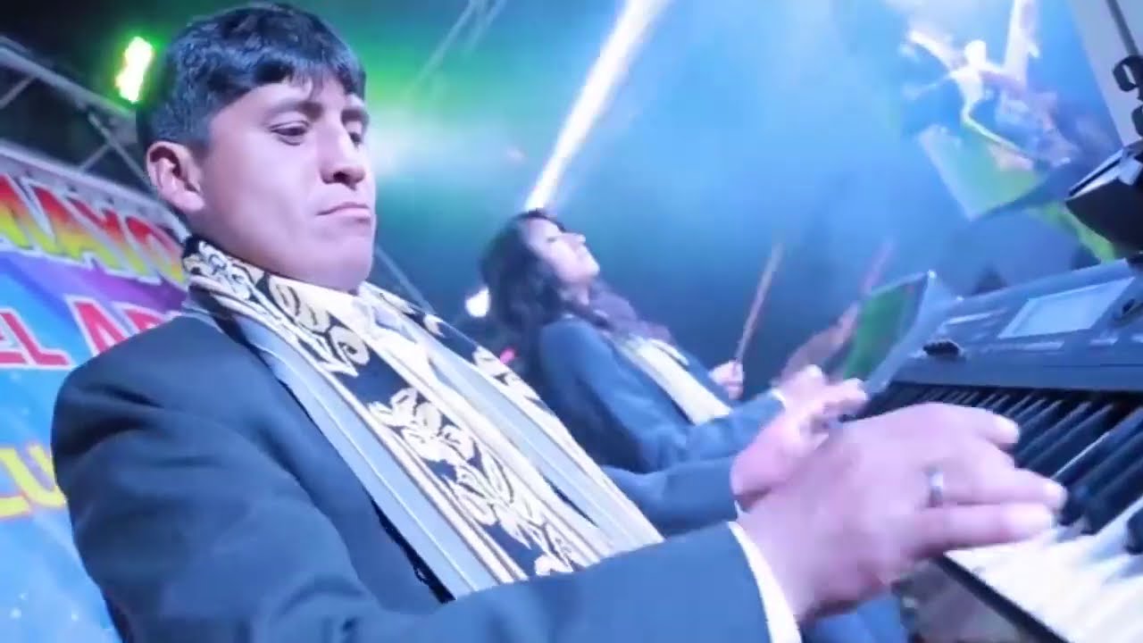 Gato Del Arpa - Amorcito Nuevo (Huayno Perú)