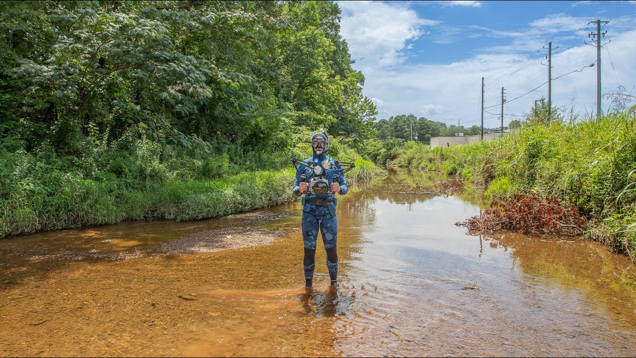 Snorkeling in City Creeks For Beautiful Fish
