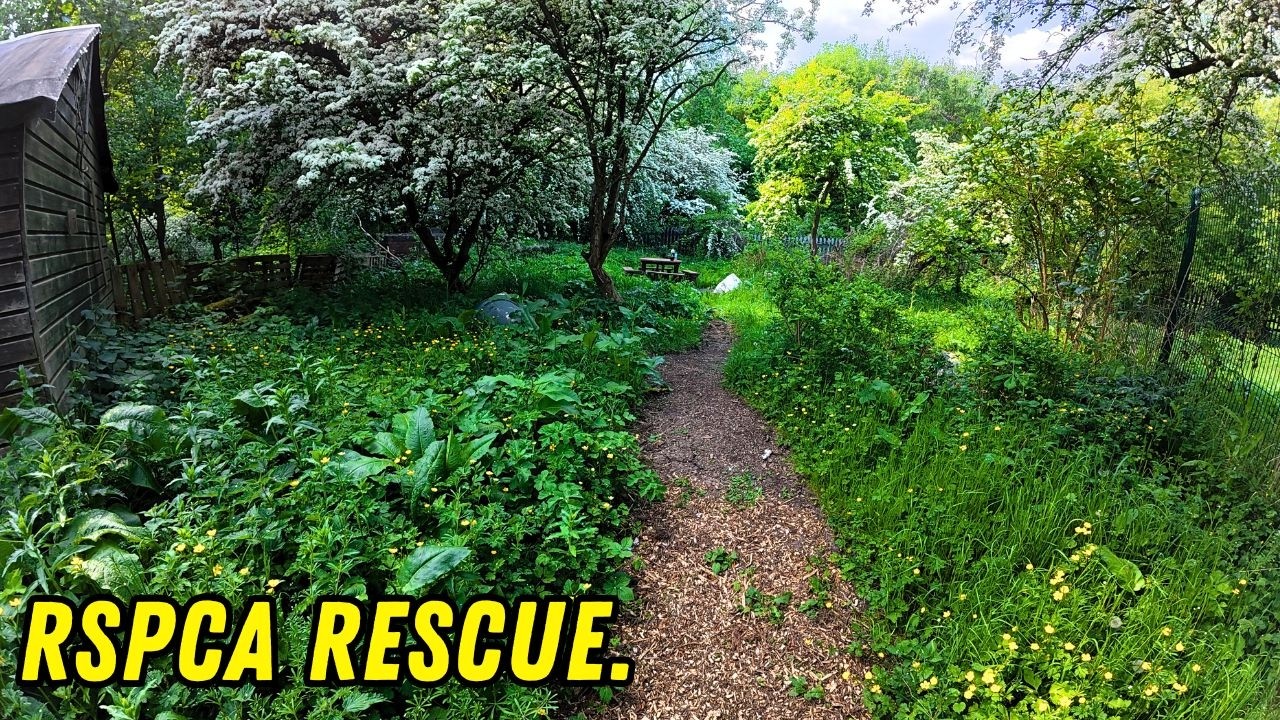 Rescuing RSPCA Preston! Dangerous Trees & Lost Memorial Garden