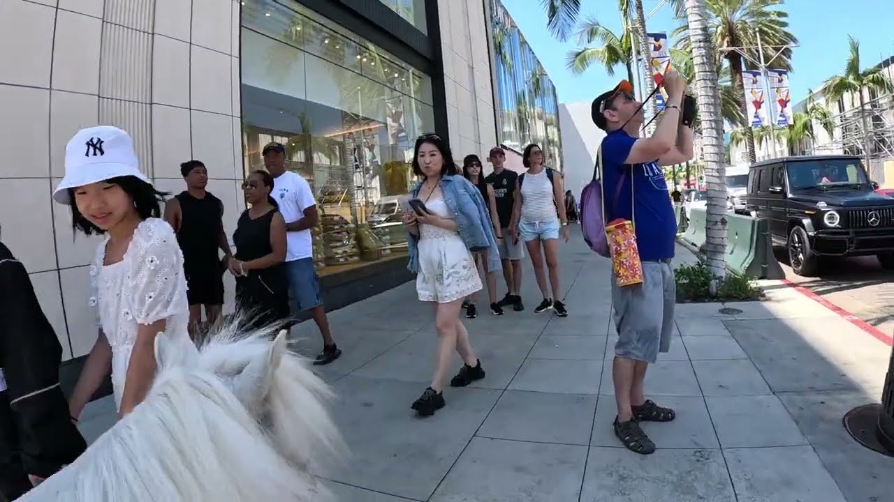 Lt. Rowdy mini horse on Rodeo Dr Representing VCCRR 5 of 7 81023
