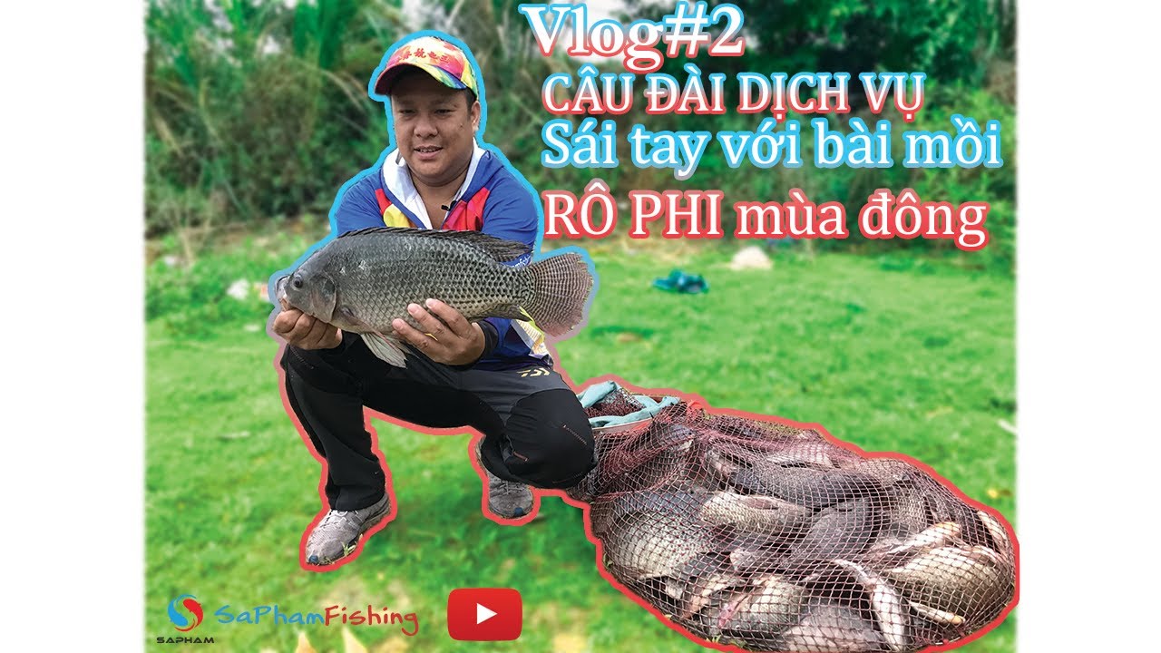 CÂU ĐÀI DỊCH VỤ | Sái tay với bài mồi RÔ PHI mùa Đông-Tilapia Fishing