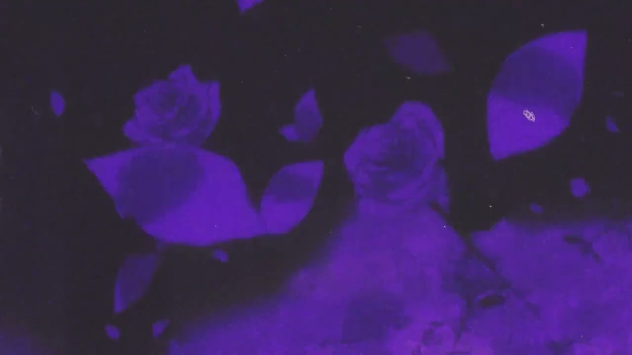 Vacra - Plan séquence (Slowed & Reverb)