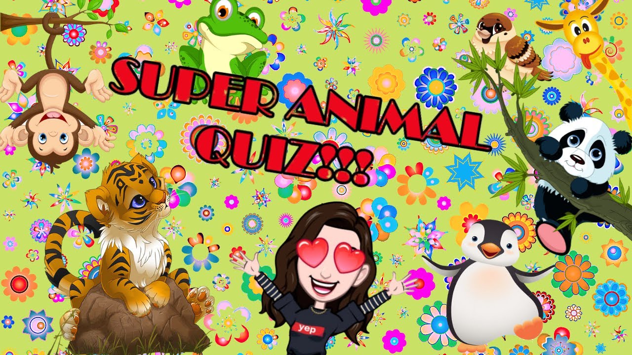 Super Animal Quiz - Inglese per bambini