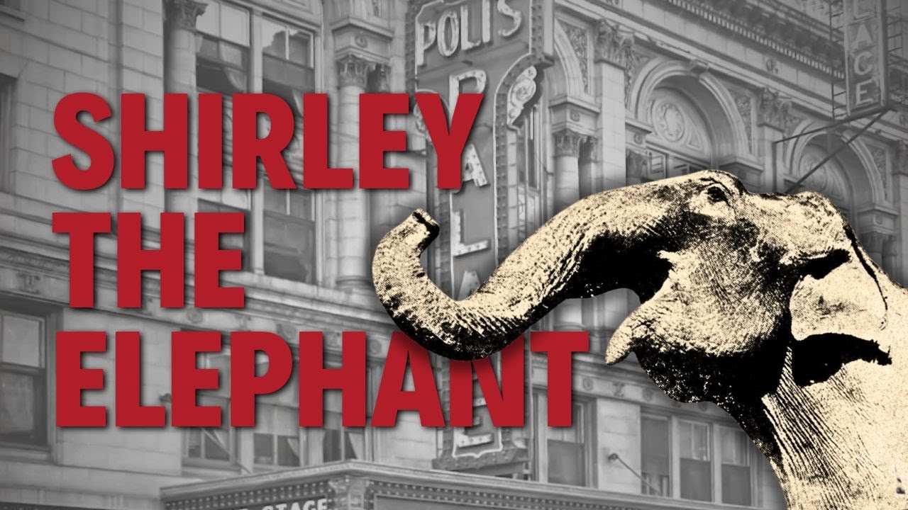 Shirley the Elephant: The Haunted Mystery of Waterbury's Palace Theatre