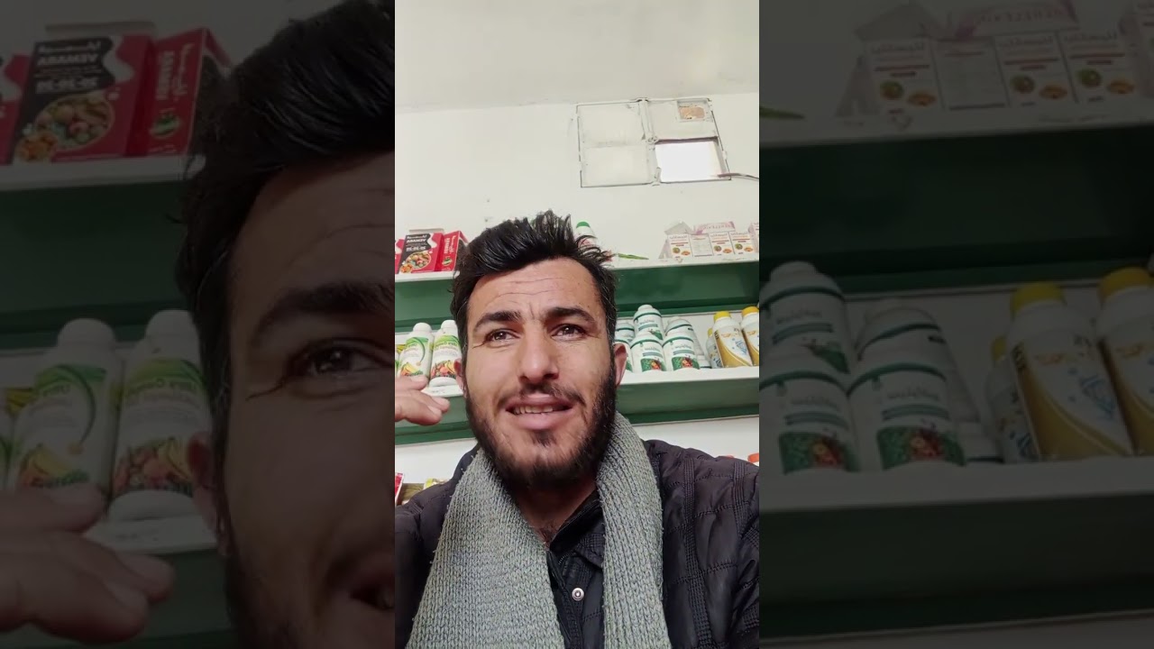 معلومات حول الUCB1 أصل الفستق الحلبي 