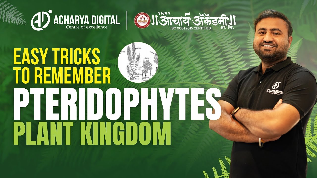 How to Recall Pteridophytes Fast  Biology Memory Hacks
