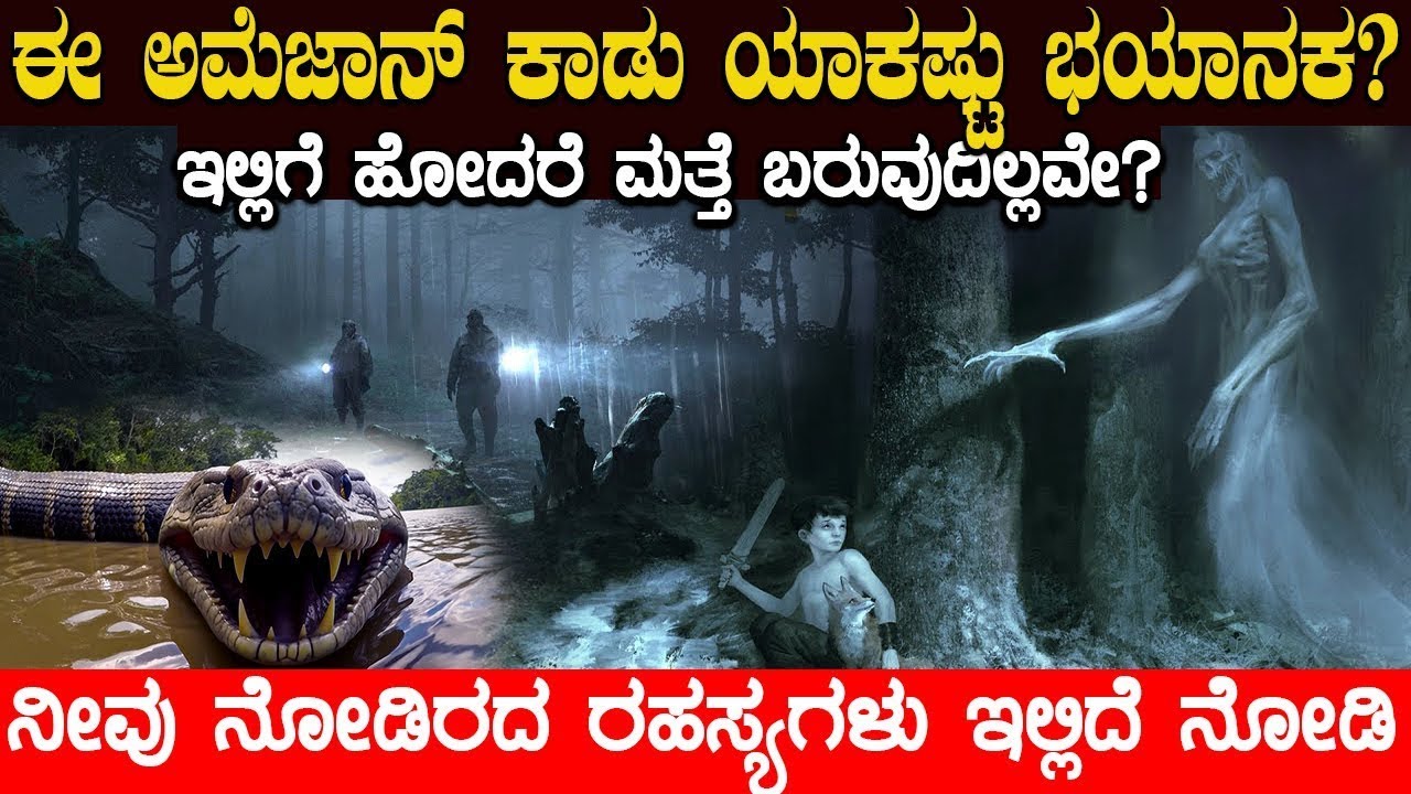 ಈ ಅಮೆಜಾನ್ ಕಾಡು ಯಾಕಷ್ಟು ಭಯಾನಕ.! ನೀವು ನೋಡಿರದ ರಹಸ್ಯಗಳು ಇಲ್ಲಿದೆ ನೋಡಿ   AMAZON FOREST Facts Kannada